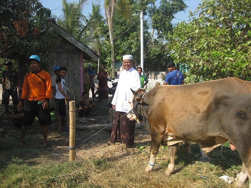 Yuk Pahami Protokol Kesehatan Saat Kurban Iduladha, Mulai dari Menyembelih sampai Bagi-bagi Daging