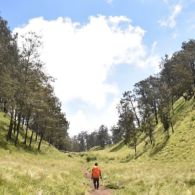 Terjatuh dari Ketinggian 7 Meter, Seorang Pendaki Meninggal di Gunung Lawu. Begini Kronologis Kejadiannya!