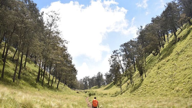 Terjatuh dari Ketinggian 7 Meter, Seorang Pendaki Meninggal di Gunung Lawu. Begini Kronologis Kejadiannya!