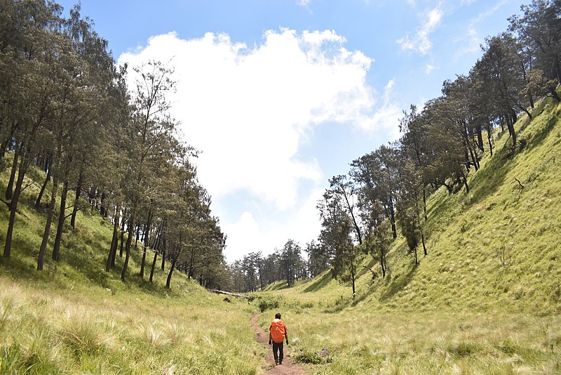 Terjatuh dari Ketinggian 7 Meter, Seorang Pendaki Meninggal di Gunung Lawu. Begini Kronologis Kejadiannya!