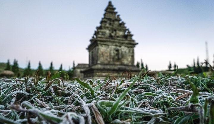 Gara-gara Udara Dingin, Dieng Diselimuti Embun Es yang Indah. Wisatawan Bertambah Tiga Kali Lipat!