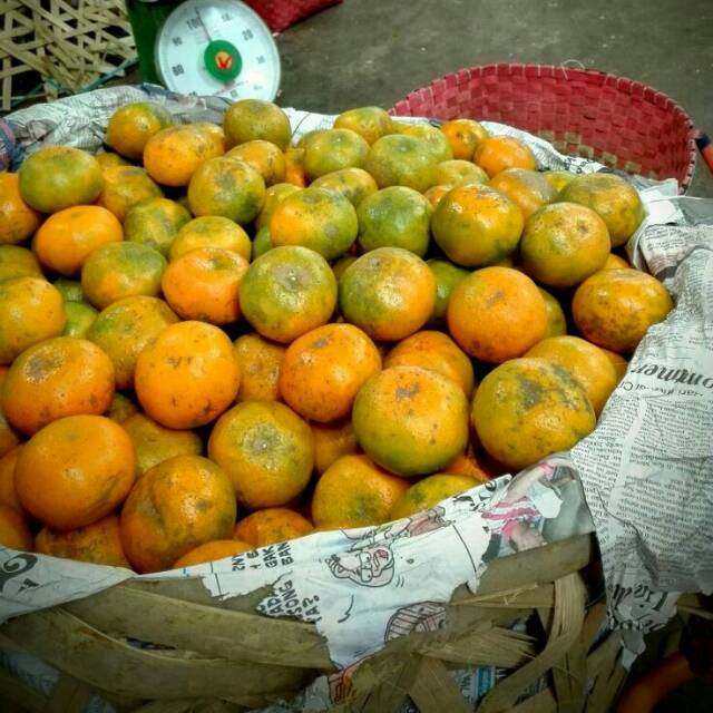 Cara Memilih Buah Jeruk Lokal yang Manis dan Banyak Airnya. Bisa Dicek dari Tekstur Kulitnya