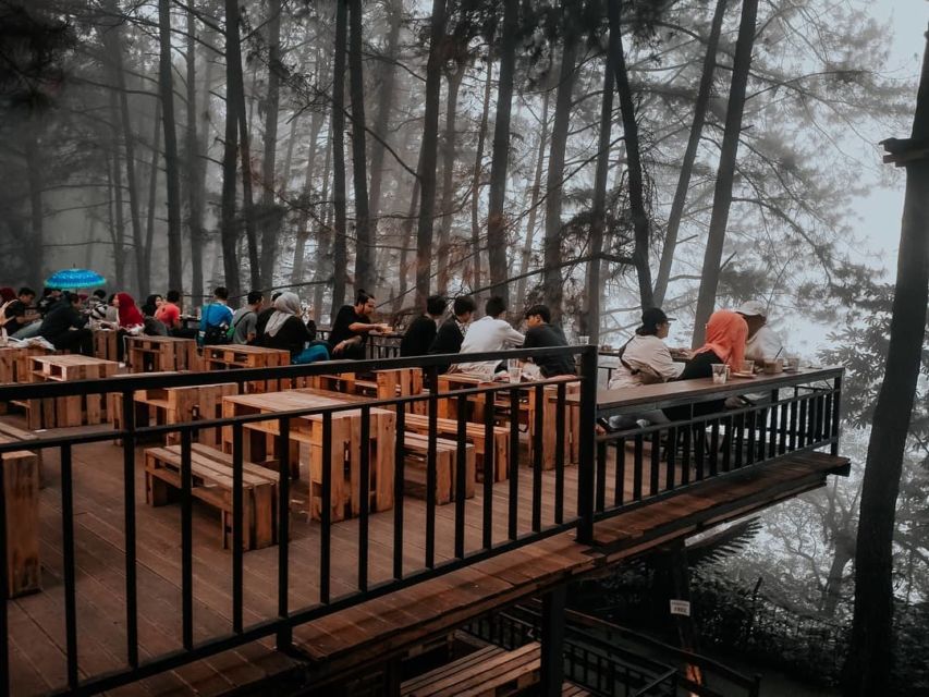 10 Kafe Tersembunyi dalam Hutan yang Bisa Kamu Kunjungi. Seru Nih Buat Pecinta Kafe 'Aesthetic!'