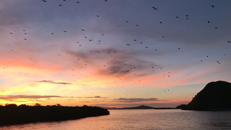 Nikmati 10 Spot Berburu Sunset Paling Cantik di Flores. Panoramanya Begitu Indah dan Bikin Males Pulang