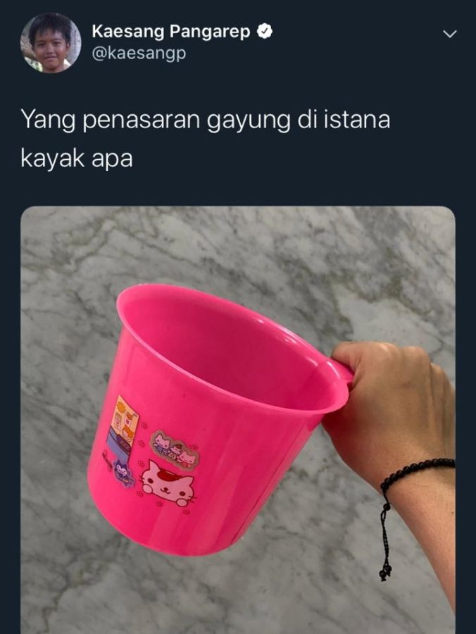 Warganet Kepo, Kaesang Pangarep Tunjukkan Isi Dapur Istana Negara. Nggak Ada Beda sama Kita!