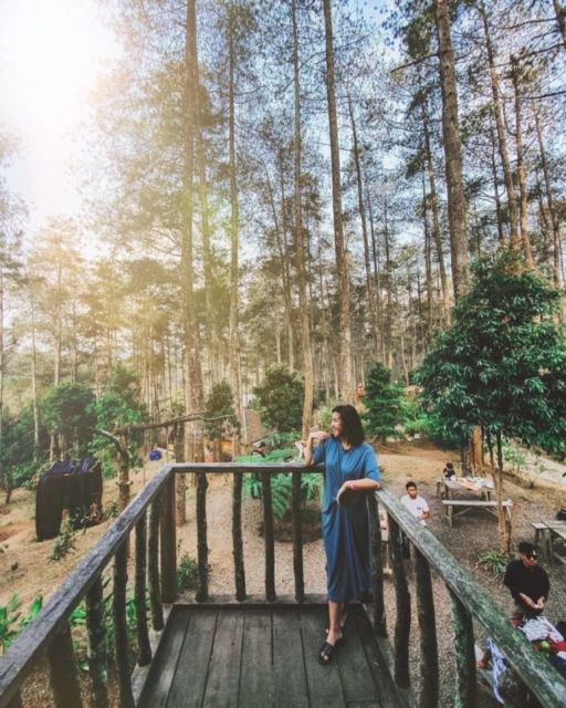 10 Kafe Tersembunyi dalam Hutan yang Bisa Kamu Kunjungi. Seru Nih Buat Pecinta Kafe 'Aesthetic!'