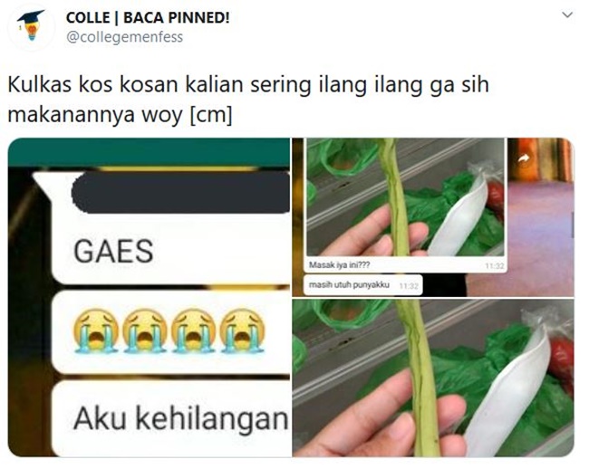 Sindikat Pencurian Makanan di Kulkas Terekam dari 11 Gambar ini. Anak Kosan Pasti Ngakak Bacanya~