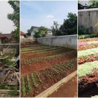 Kembangkan Hobi Baru Saat Pandemi, Yuk Intip Lahan Kompleks yang Disulap Tantri Namirah Jadi Kebun!