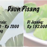 10 Hal Biasa di Indonesia ini Justru Dianggap Mewah di Luar Negeri, Salah Satunya Daun Pisang!