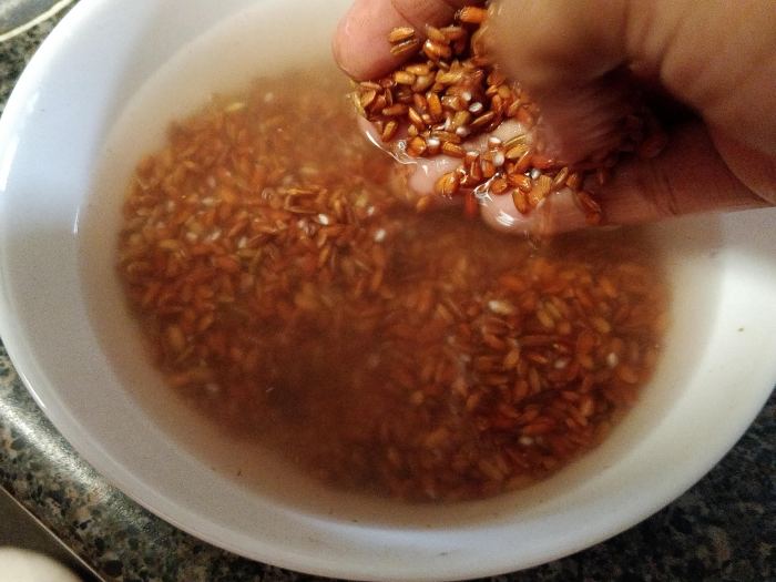 Cara Memasak Beras Merah