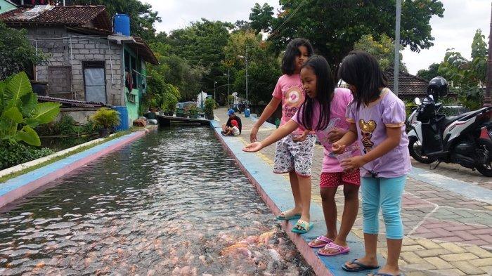 Kreatif dan Bermanfaat. Pemuda di Yogyakarta Sulap Saluran Irigasi Jadi Tempat Budidaya Ikan. Bisa Ditiru nih~