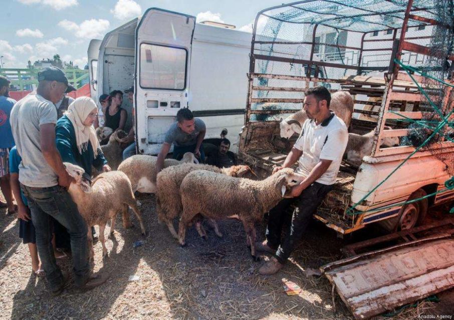 Mengintip Tradisi Unik Perayaan Idul Adha di 5 Negara. Mulai dari Pasar Malam hingga Dandani Hewan Kurban 