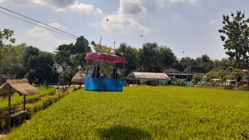 Unik Banget, Taman Wisata di Tengah Sawah yang Hits di Madiun. Dibikin Buat Tempat Main Anak-anak!