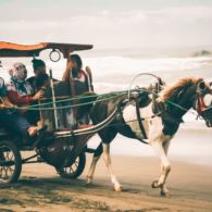 Pesona Pantai Parangtritis yang Tak Boleh Dilewatkan Saat Main ke Jogja