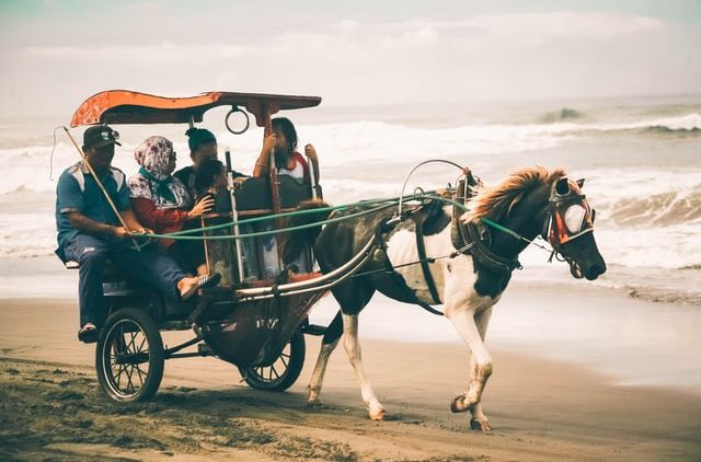 Pesona Pantai Parangtritis yang Tak Boleh Dilewatkan Saat Main ke Jogja