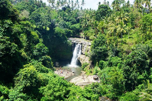 5 Rekomendasi Air Terjun Terindah di Kota Bengkulu, Siap-Siap Nyebur Nih~