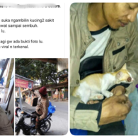 Kisah Penyelamat Kucing Liar yang Bagai Malaikat, Warganet Bertekad Viralkan Kebaikannya