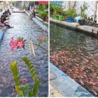 Kreatif dan Bermanfaat. Pemuda di Yogyakarta Sulap Saluran Irigasi Jadi Tempat Budidaya Ikan. Bisa Ditiru nih~