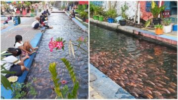 Kreatif dan Bermanfaat. Pemuda di Yogyakarta Sulap Saluran Irigasi Jadi Tempat Budidaya Ikan. Bisa Ditiru nih~