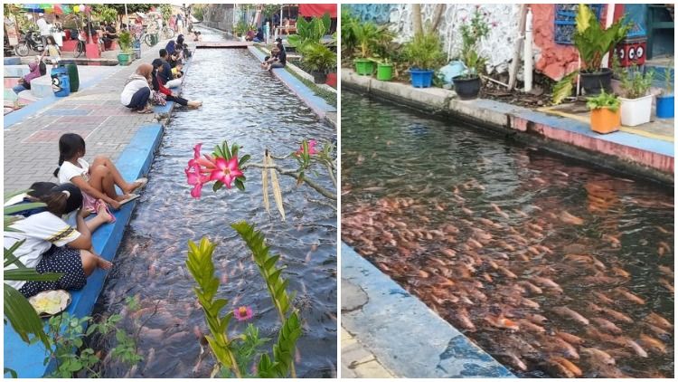 Kreatif dan Bermanfaat. Pemuda di Yogyakarta Sulap Saluran Irigasi Jadi Tempat Budidaya Ikan. Bisa Ditiru nih~