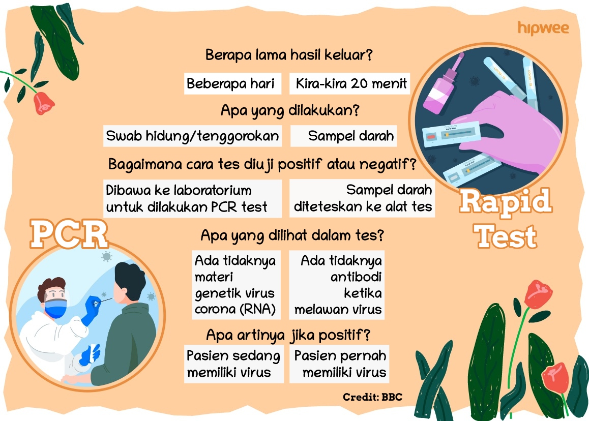 Mengenal Perbedaan 2 Jenis Tes Corona: Rapid Test dan PCR Test, Biar Nggak Bingung dan Salah Kaprah