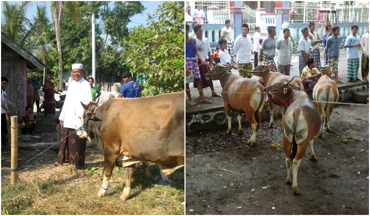 Yuk Pahami Protokol Kesehatan Saat Kurban Iduladha, Mulai dari Menyembelih sampai Bagi-bagi Daging