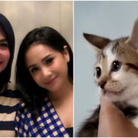 Punya Bulu dengan Corak Wajah Manusia, Kucing Ibu Nagita Slavina Pernah Ditawar 600 Juta Rupiah!