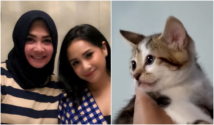 Punya Bulu dengan Corak Wajah Manusia, Kucing Ibu Nagita Slavina Pernah Ditawar 600 Juta Rupiah!