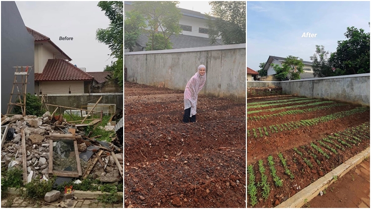 Kembangkan Hobi Baru Saat Pandemi, Yuk Intip Lahan Kompleks yang Disulap Tantri Namirah Jadi Kebun!