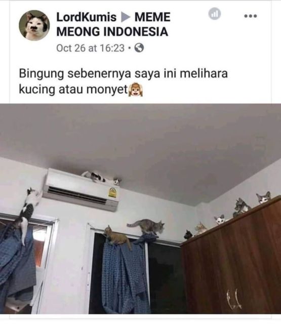 11 Momen Paling Absurd yang Terjadi di Dalam Rumah. Melihat ini Kamu Bakal Bilang, 