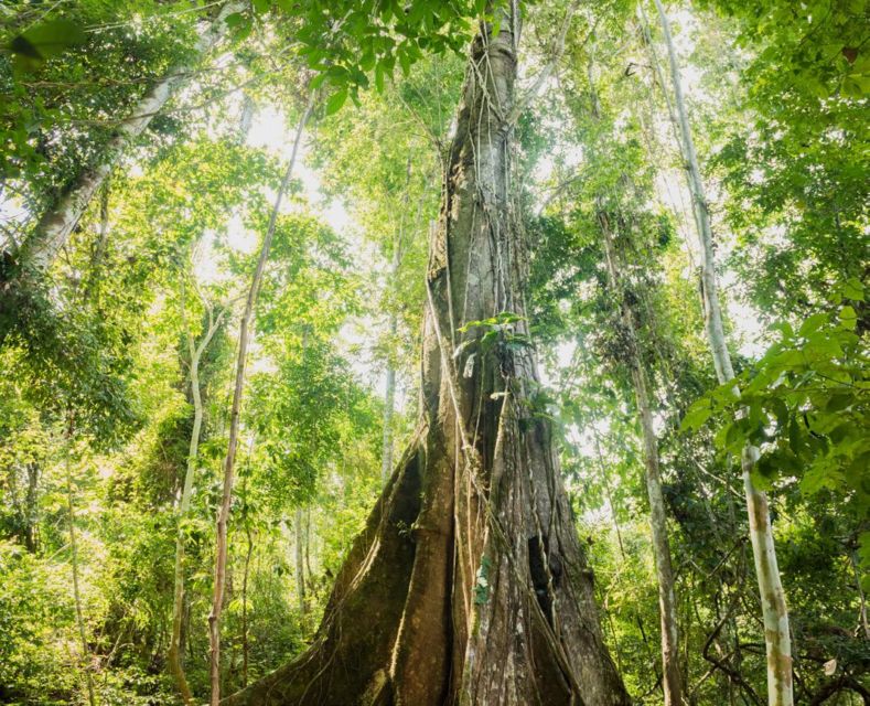 PT Sasa Inti Raih Sertifikasi The Planet Mark Berkat Kontribusi Terhadap Kelangsungan Bumi dan Lingkungan Hidup