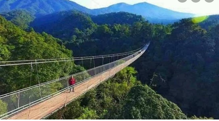 Menelusuri Wisata Alam Situ Gede Suspension Bridge di Taman Nasional Gunung  Gede Pangrango