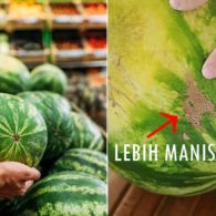 5 Jenis Buah Semangka dan Cara Memilih yang Manis