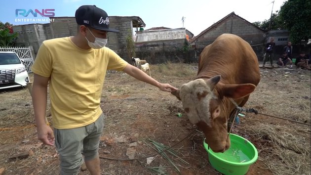 6 Kegiatan Artis Saat Rayakan Iduladha. Ada yang Sumbang Sapi Jumbo dan Ikut Sembelih Langsung