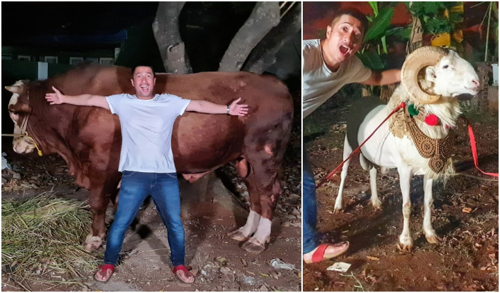 6 Kegiatan Artis Saat Rayakan Iduladha. Ada yang Sumbang Sapi Jumbo dan Ikut Sembelih Langsung