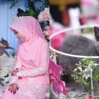 Unik Banget, Kucing Lucu Jadi Seserahan! 5 Hal ini Juga Bisa lo Diberikan Sesuai Kesukaan