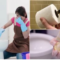 10 Pengharum Kamar Mandi Alami Penumpas Bau Pesing dan Tak Sedap. Aromanya Segar, Anti Pengap