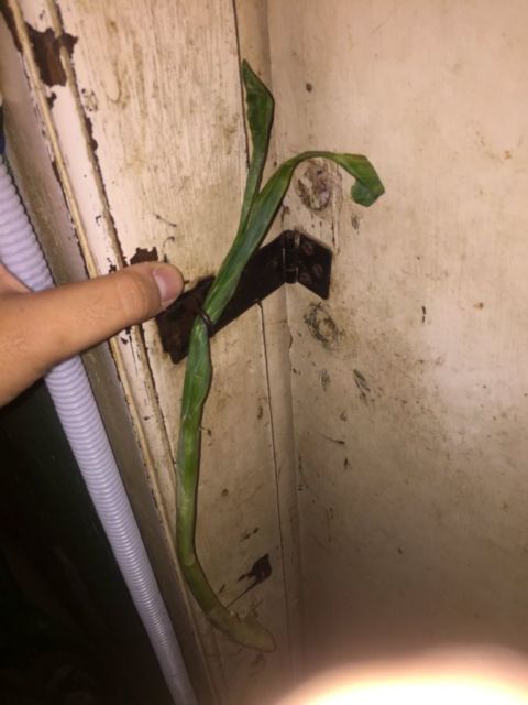 Deretan Pintu Ajaib yang Kalau Dibuka Mengundang Bahaya. Mending Buka Pintu Maaf Kalau Gini mah :(