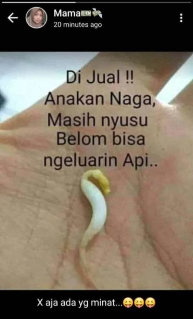 11 Status WhatsApp Ibu-ibu yang Bikin Anaknya Tepuk Jidat. Nggak Bapak Nggak Emak, Sama Kocaknya!