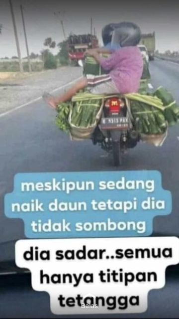 11 Status WhatsApp Ibu-ibu yang Bikin Anaknya Tepuk Jidat. Nggak Bapak Nggak Emak, Sama Kocaknya!