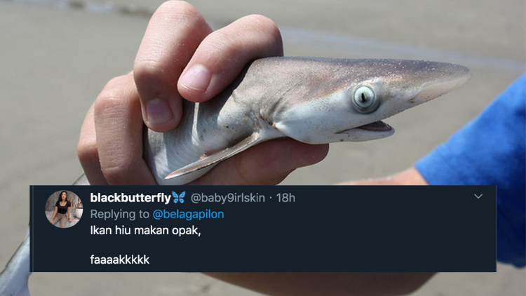 Pantun Ikan Hiu