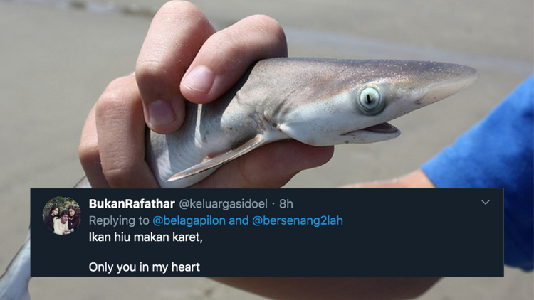 Pantun Ikan Hiu