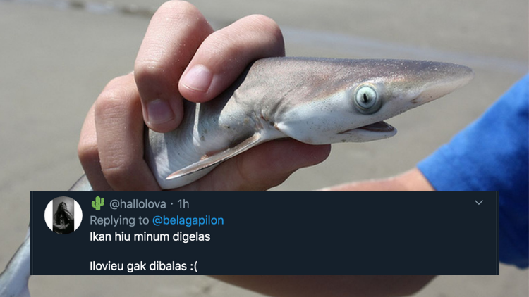 Pantun Ikan Hiu