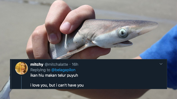 Pantun Ikan Hiu