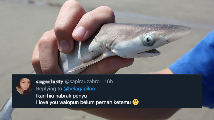 Pantun Ikan Hiu