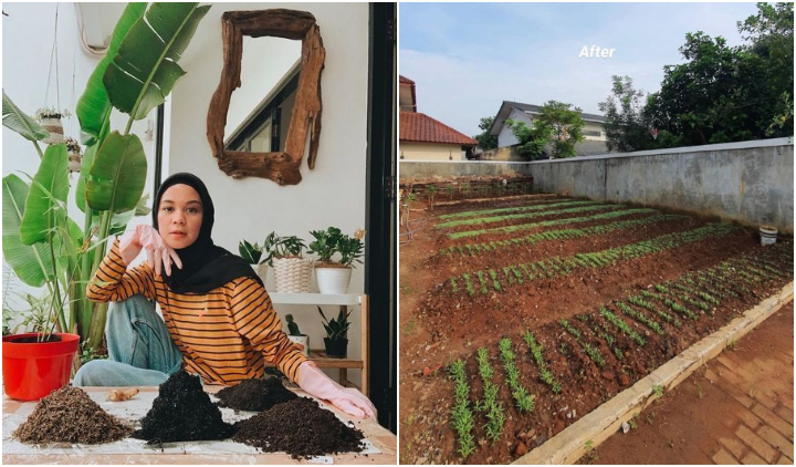 10 Rumah Artis yang Dipenuhi Berbagai Tanaman Hijau. Asri dan Rindang, Bikin Betah Berlama-lama