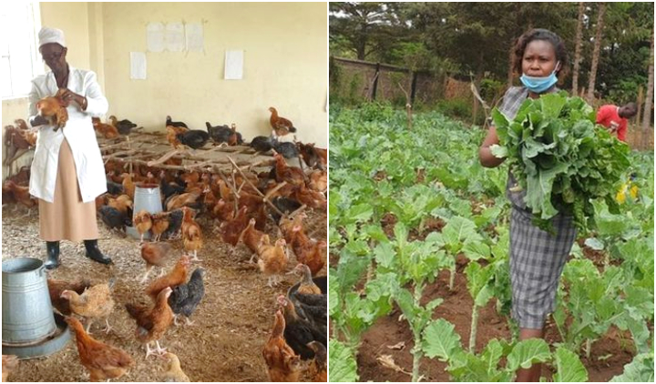 Tak Bisa Bertahan, Sekolah di Kenya Beralih Fungsi Jadi Peternakan Ayam dan Ladang Sayur. Nasib Guru Semakin Miris