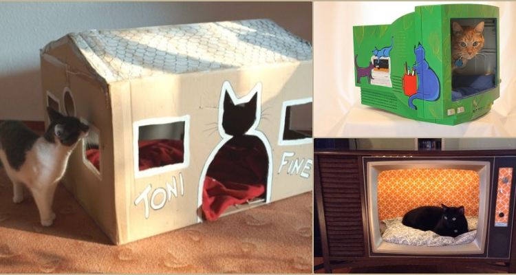 12 Tempat Tidur Kucing ini Buktikan Kalau Pemiliknya Kreatif. Bikin dari Barang Bekas, Gokil!