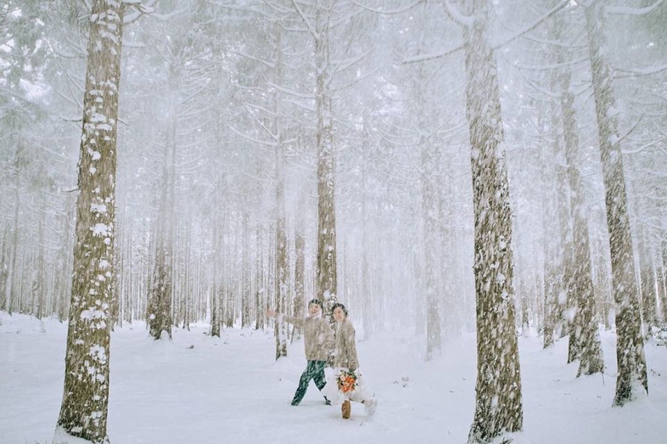 8 Ide Pre-wedding ala Korea di Alam Terbuka. Romantisnya Berpose Cantik di Taman Bunga!