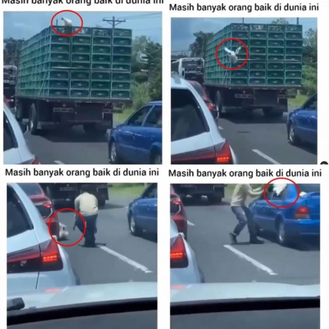 11 Gambaran Kocak Orang-Orang yang Nggak Mau Rugi. Medit Amat, Sampe Segitunya! :(